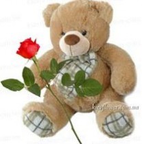 Bear with a rose